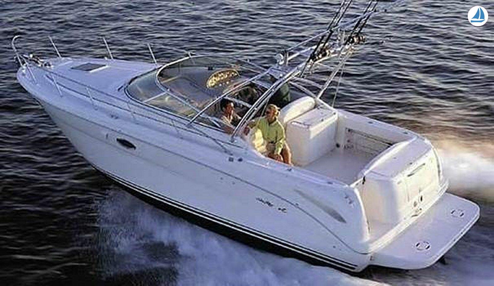 photo Sea Ray 290 1
