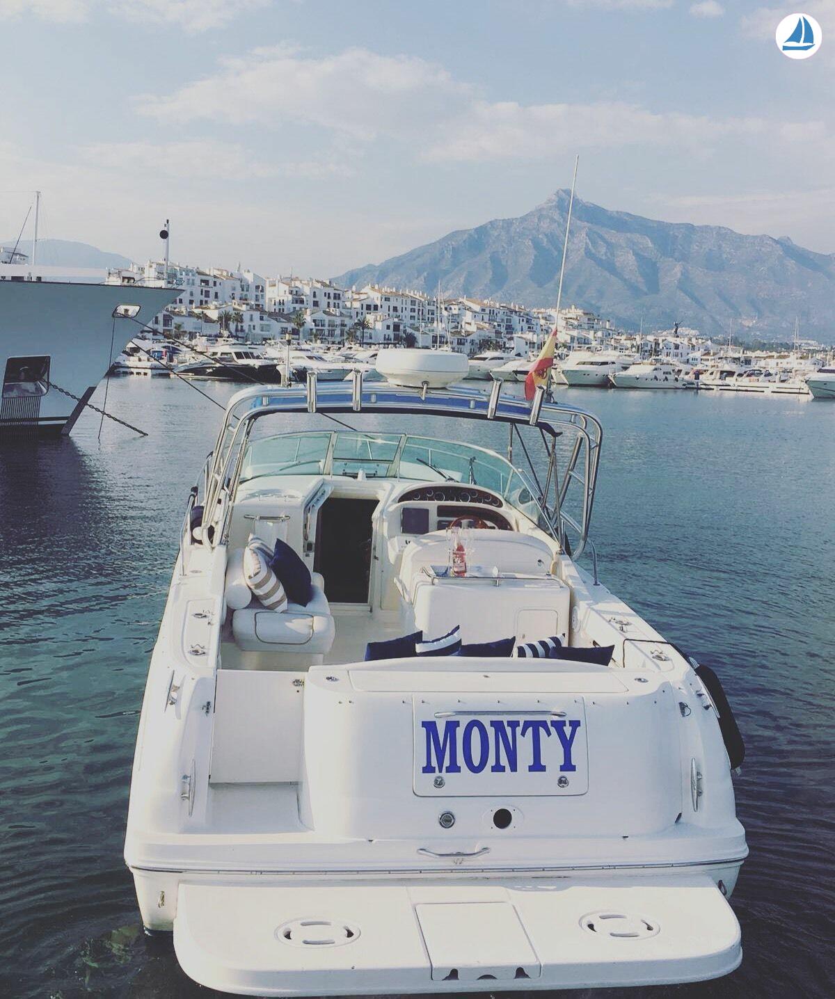 photo Sea Ray 290 3