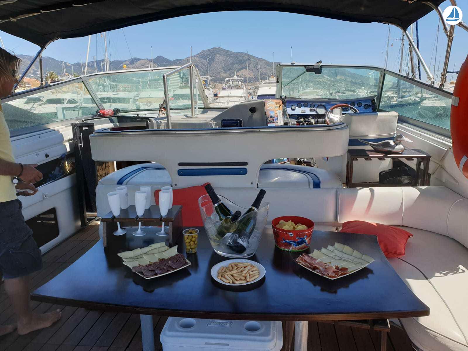 photo Sea Ray 440 Sea ray, dolphin watching 3