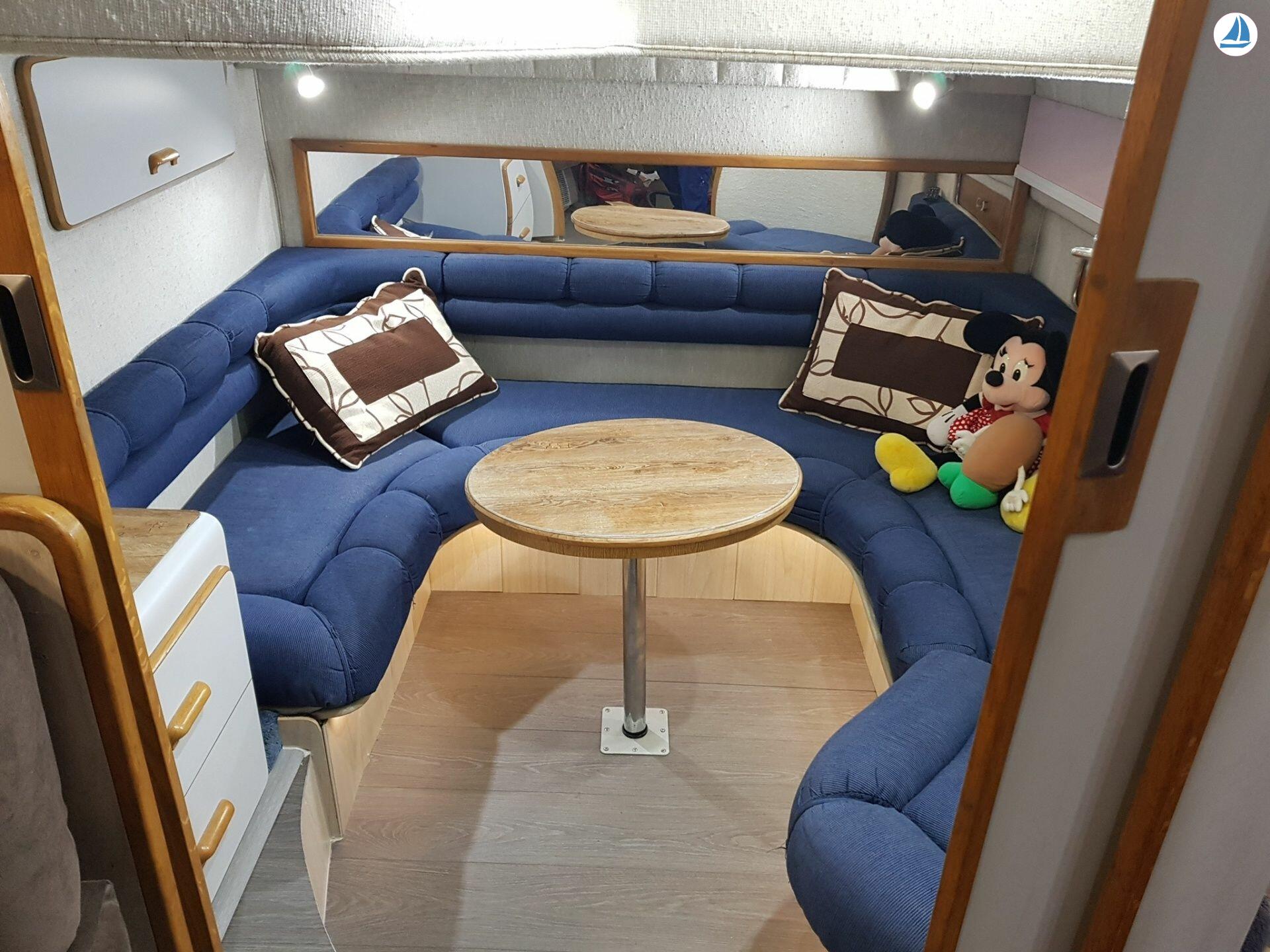 photo Sea Ray 440 Sea ray, dolphin watching 8