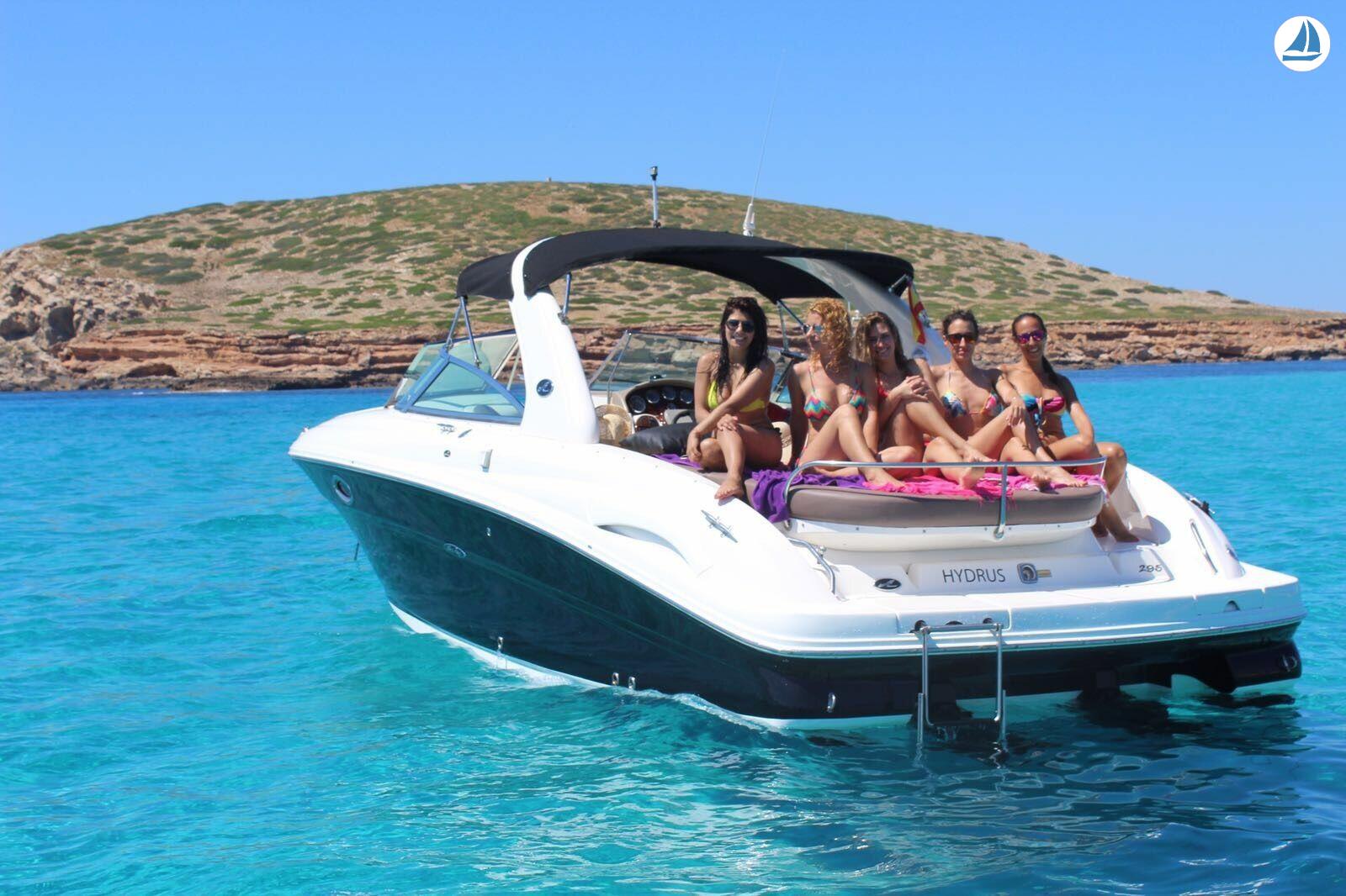 photo Sea Ray 295 3