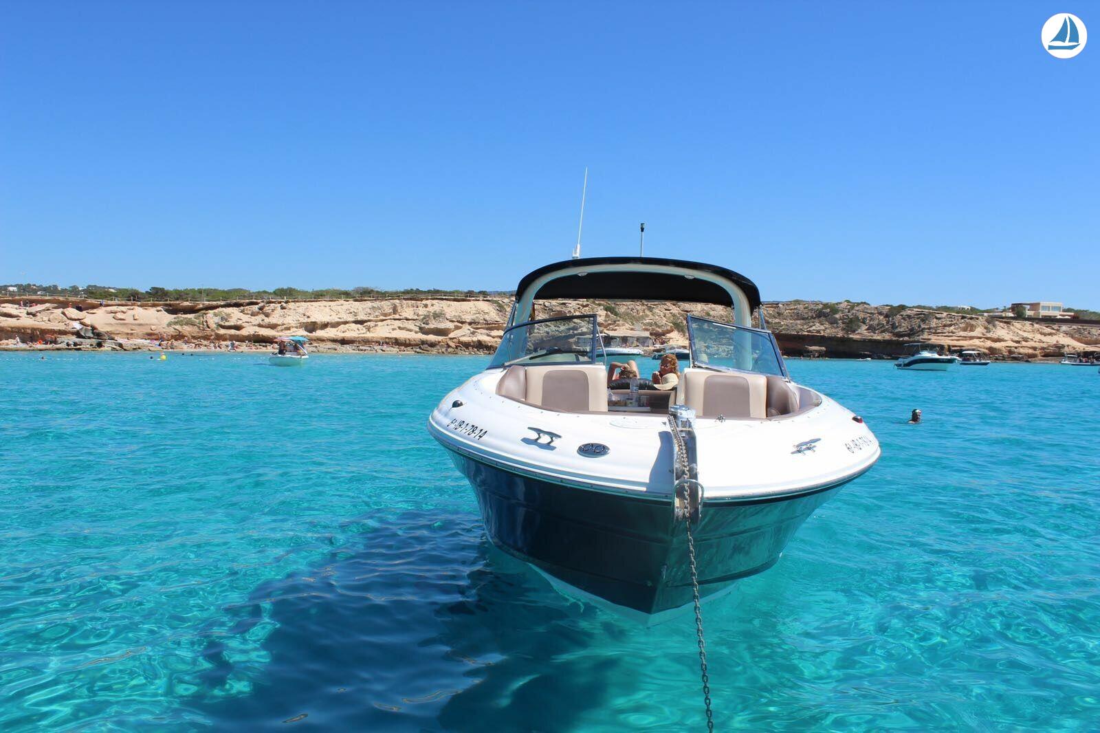 photo Sea Ray 295 4