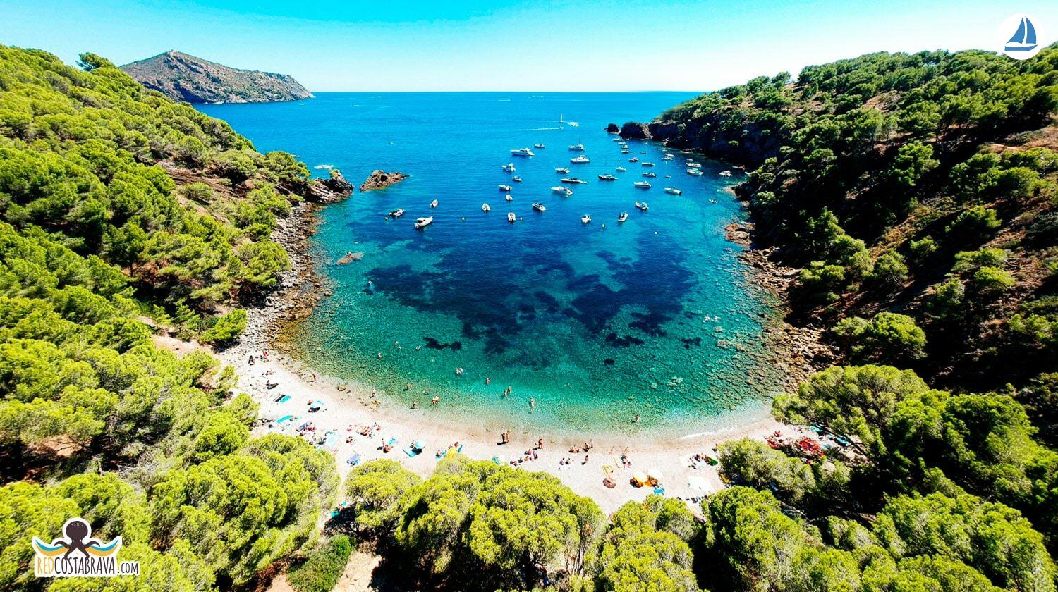 photo Capelli Tempest 775 5