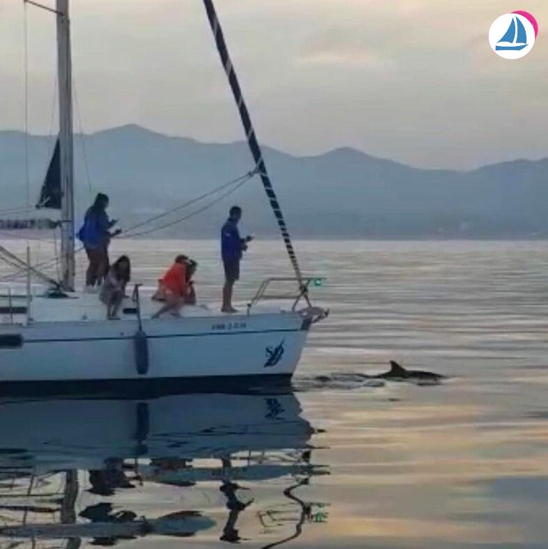 photo Beneteau OCEANIS 351 5