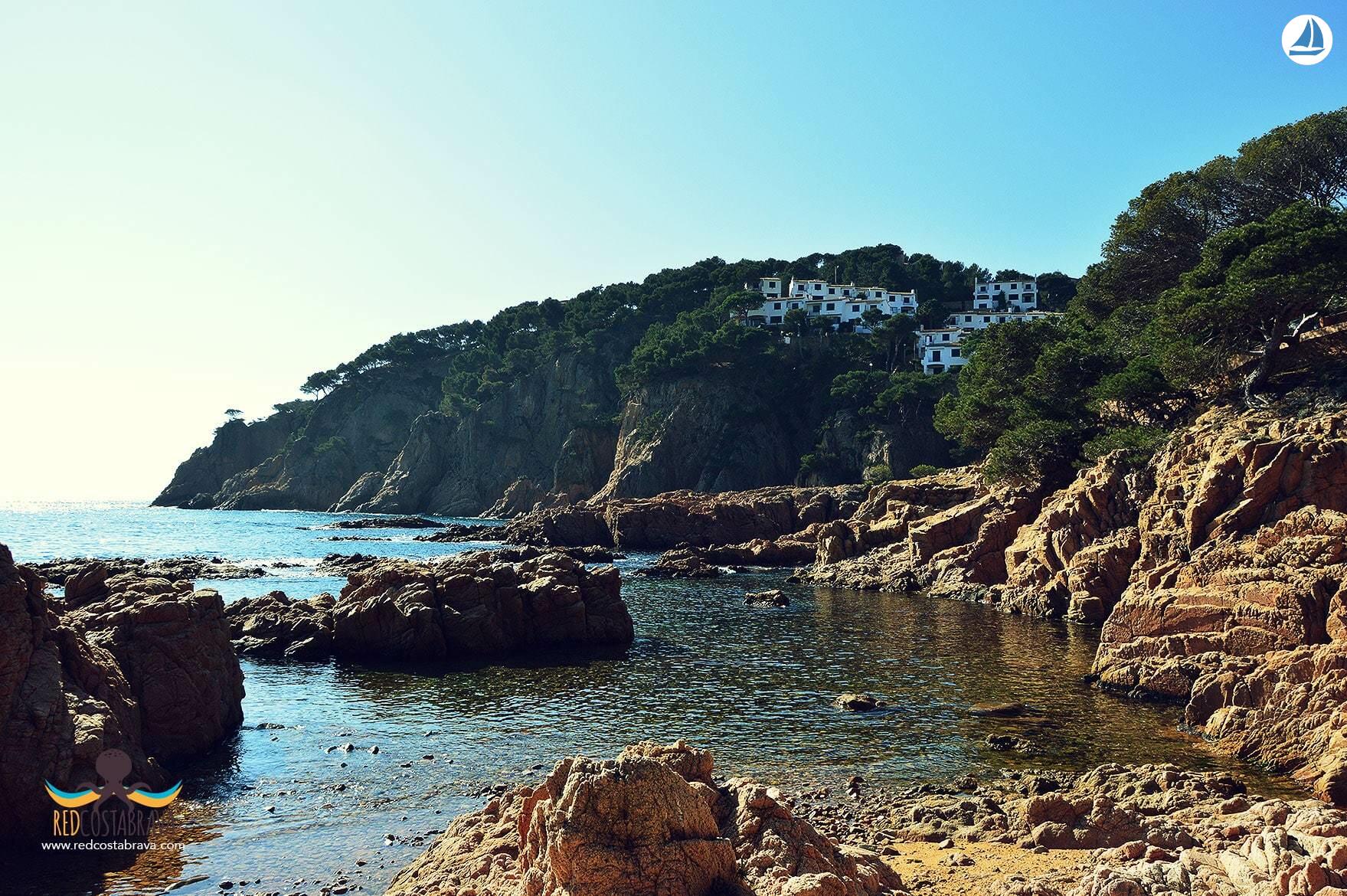 photo Supercatamaran 95 4